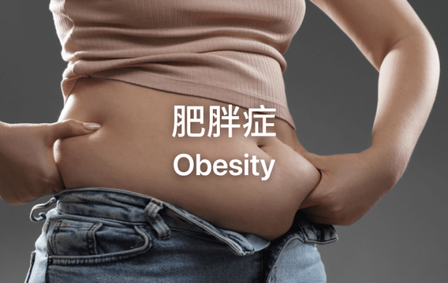 Obesity-Why Medical Evaluation and Structured Weight Management Matter